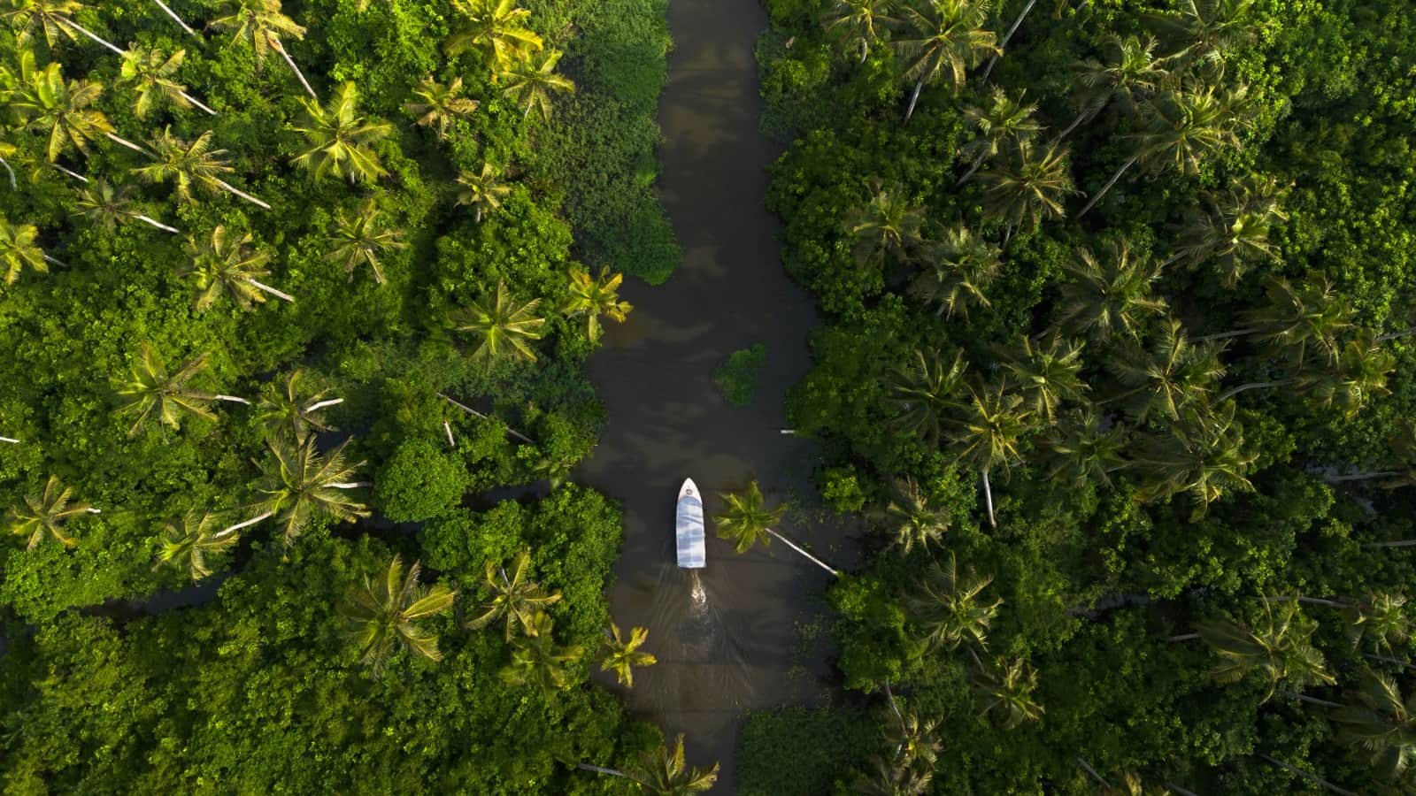 Scenic view of the Poovar Backwaters with traditional boats cruising through calm waters during sunrise and sunset, surrounded by lush greenery and estuary landscapes in Kerala.