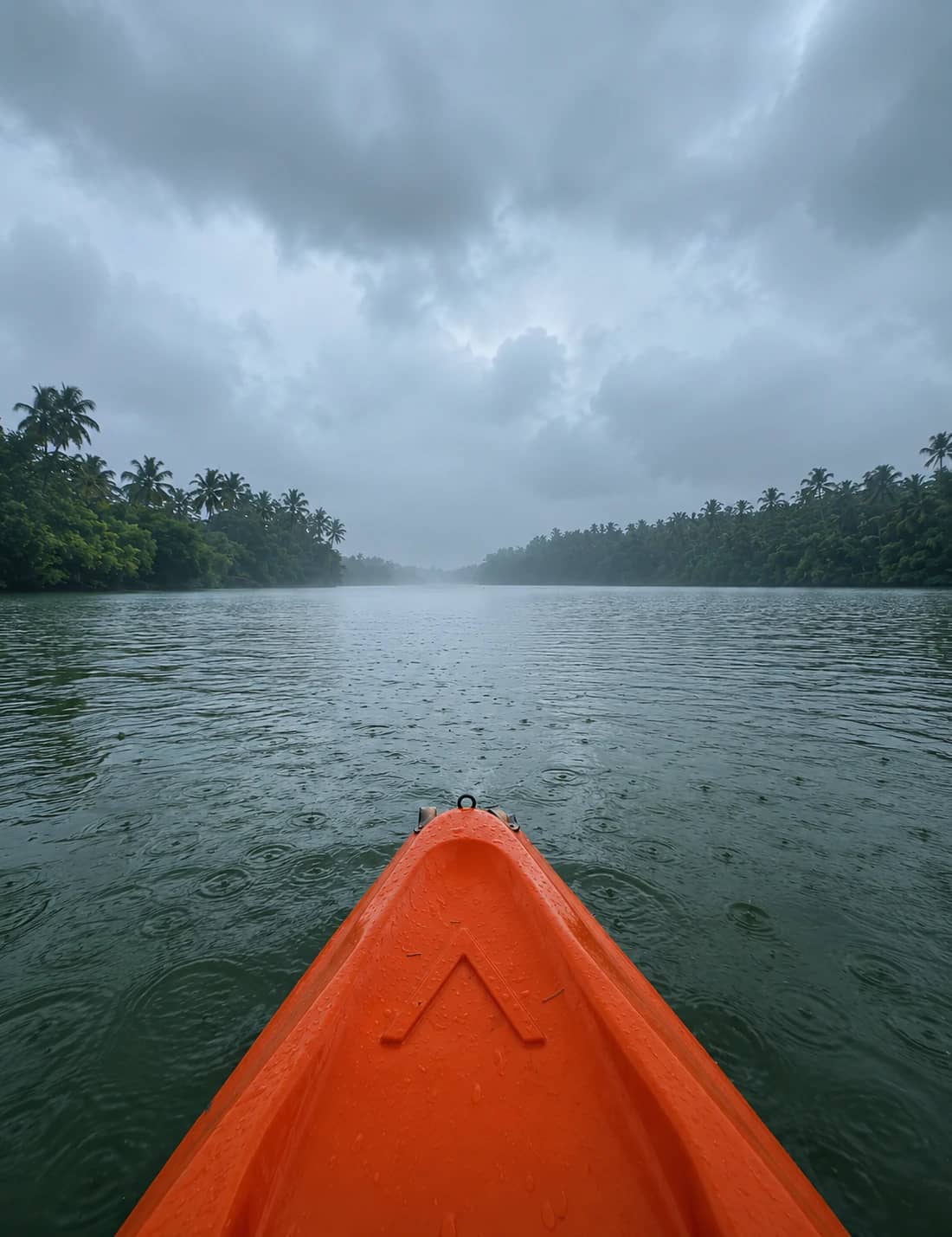 Backwater and Mangrove Kayaking Near Kovalam with Cruoo — photo 5