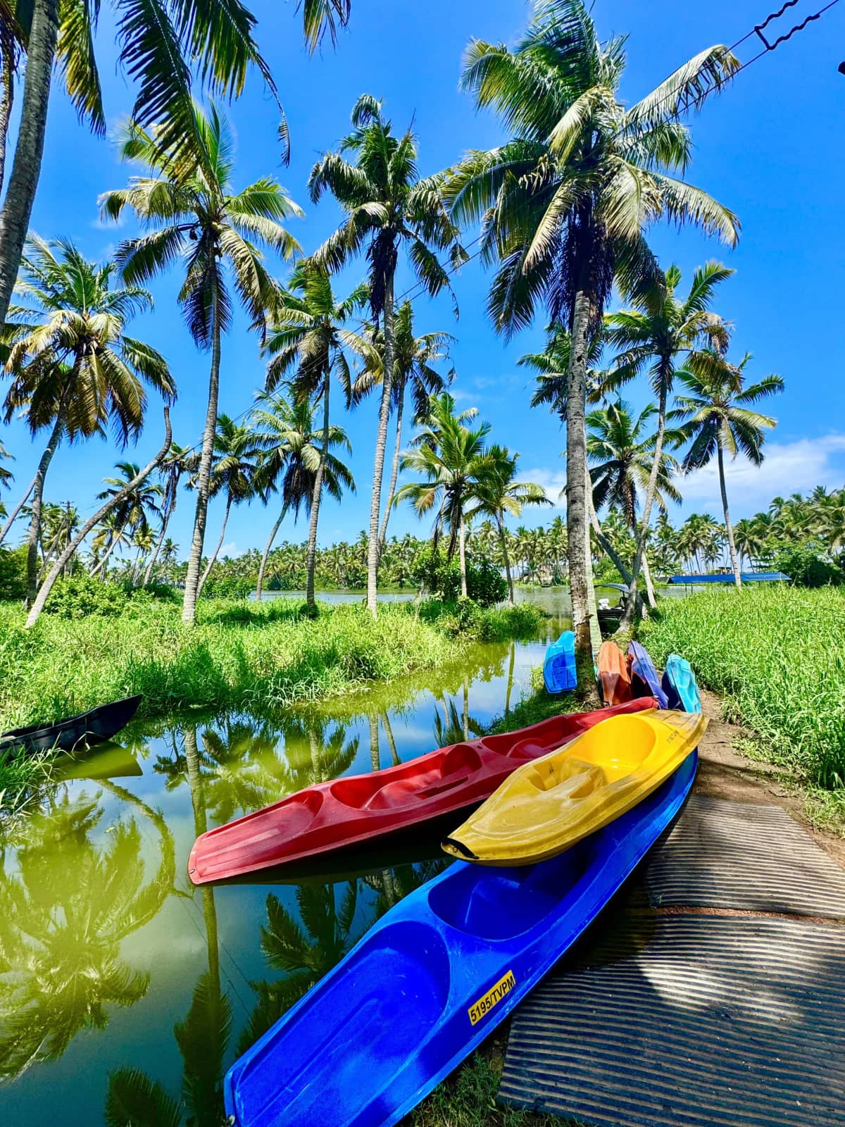 Backwater and Mangrove Kayaking Near Kovalam with Cruoo — photo 4