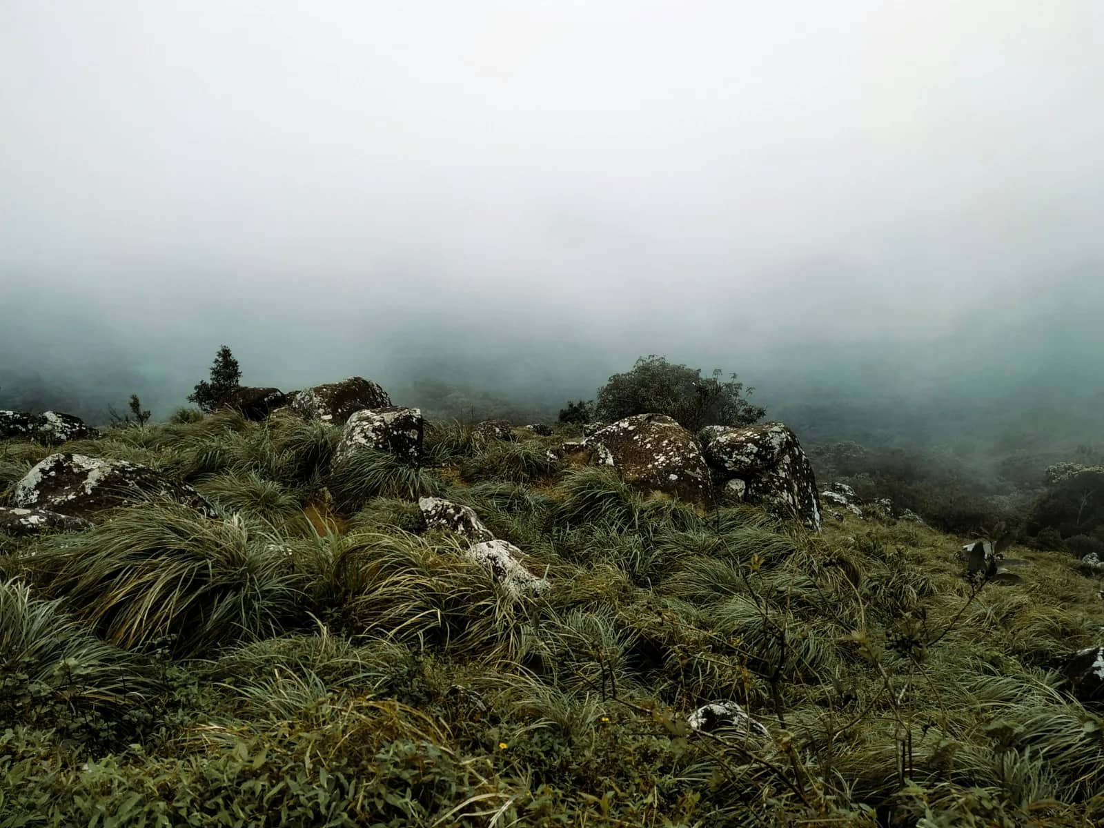 Ponmudi hill station landscape with winding roads, green hills, and misty mountain scenery in Trivandrum