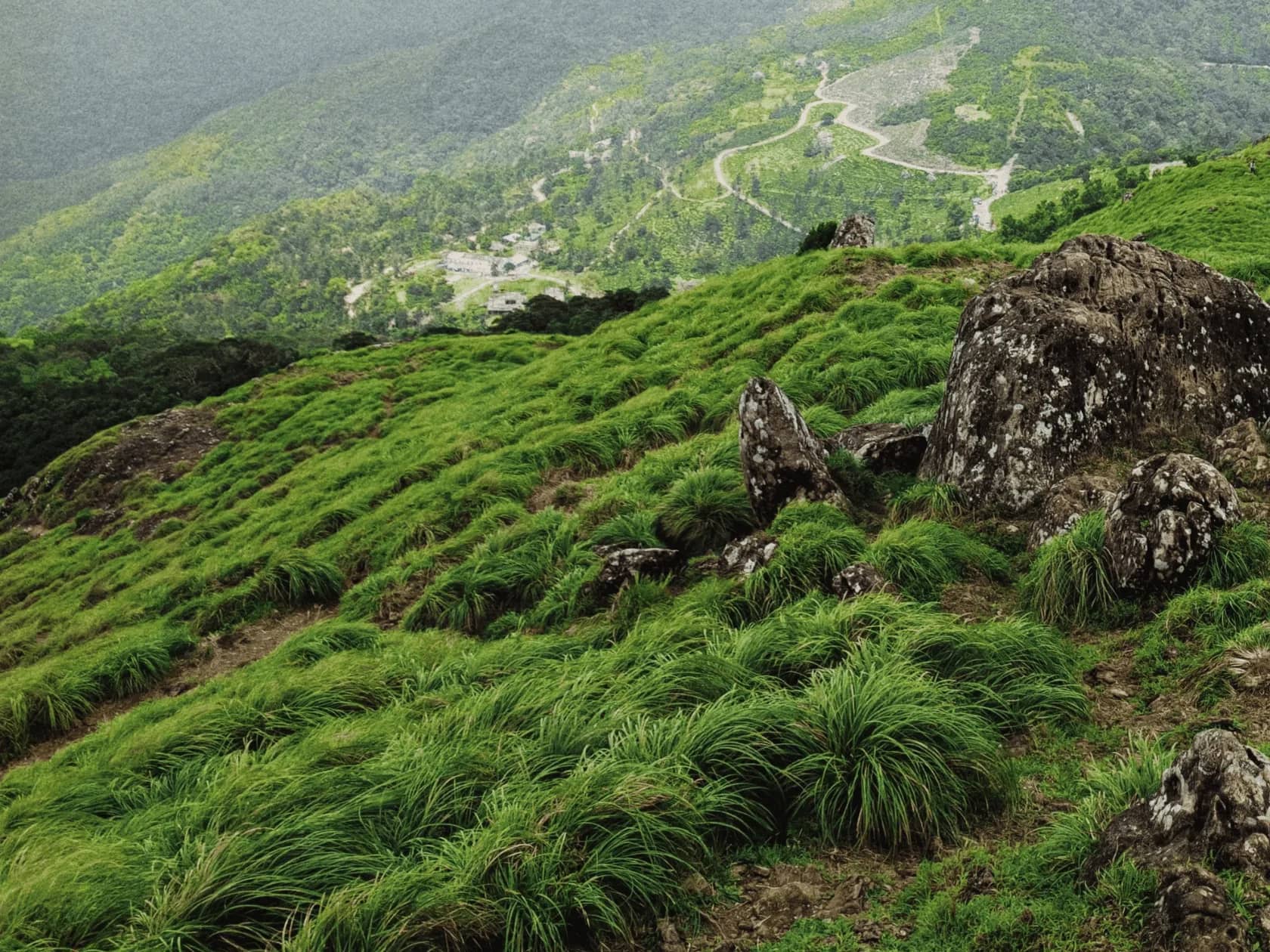Cottage accommodation among green hills at Ponmudi, Kerala