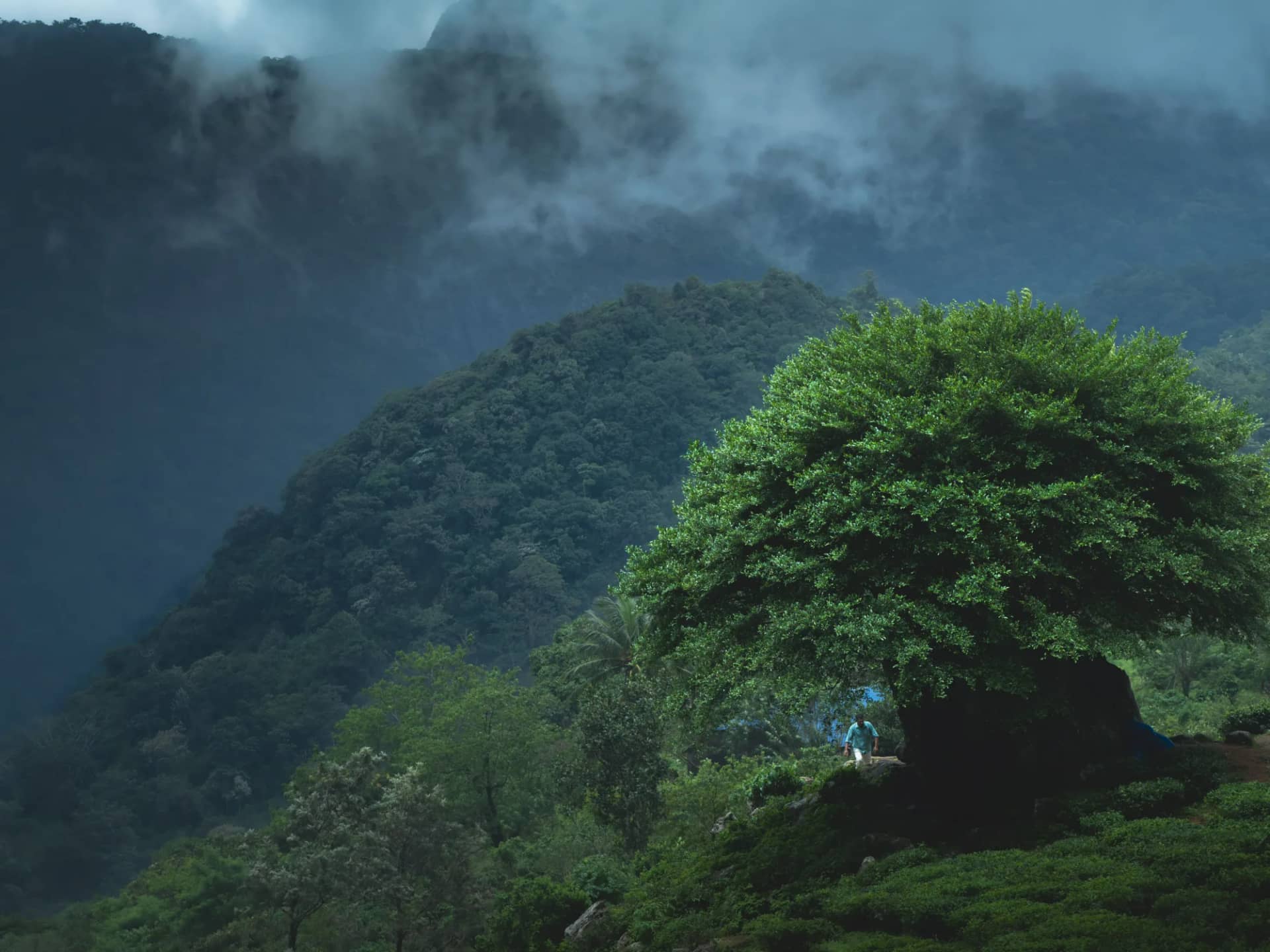Green hills and a winding road at Ponmudi in Kerala