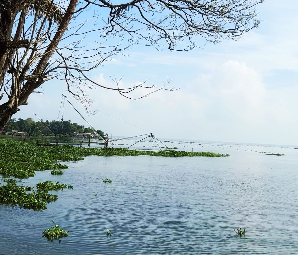 Alleppey houseboat experience — exploring the wide canal network in traditional houseboats