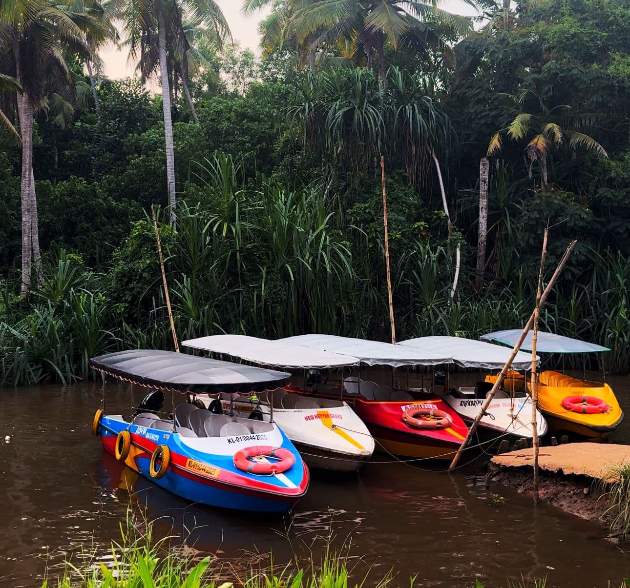 Poovar boating experience — narrow mangrove waterways and diverse backwater ecosystem