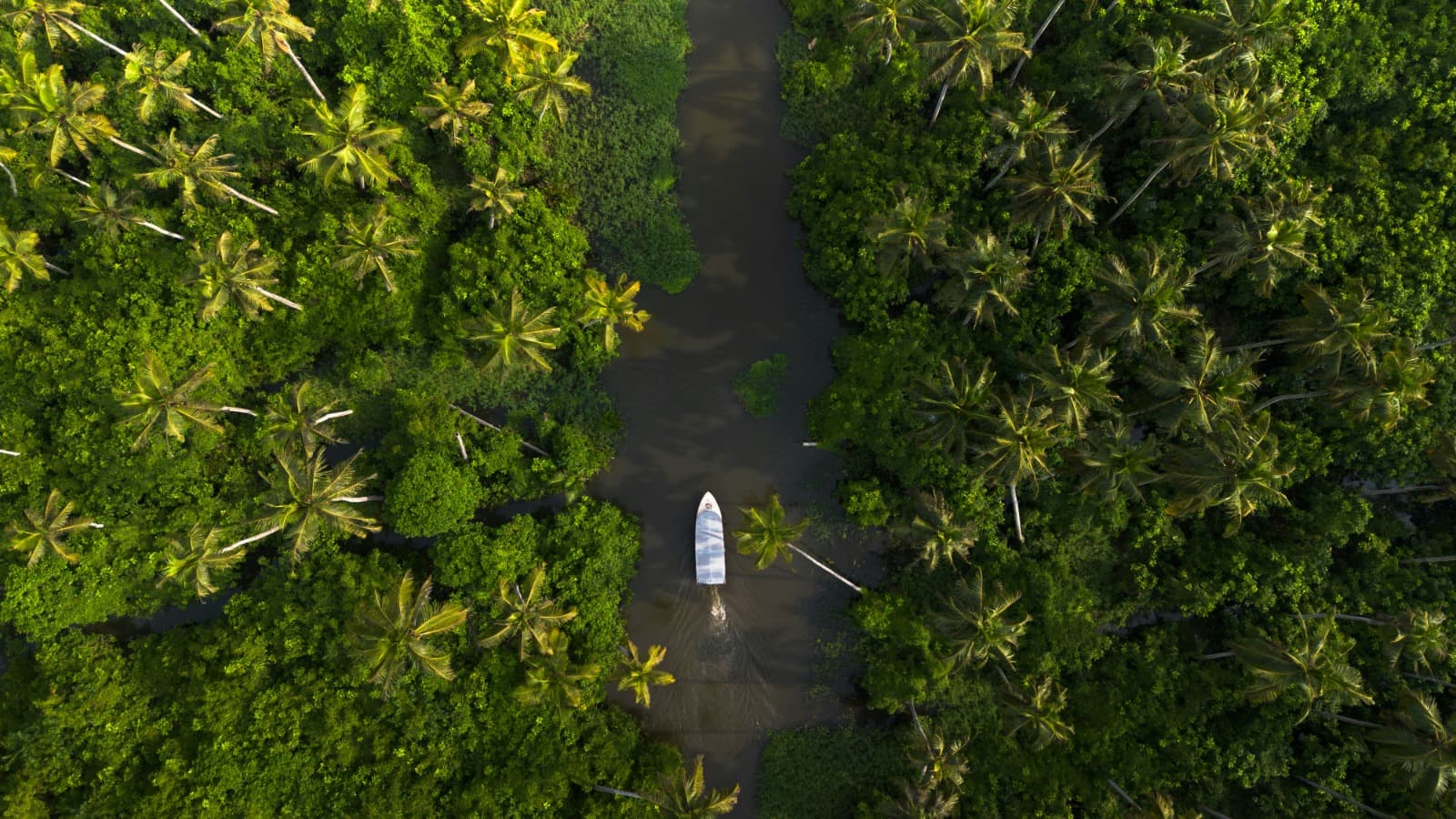 Scenic view of the Poovar Backwaters with traditional boats cruising through calm waters during sunrise and sunset, surrounded by lush greenery and estuary landscapes in Kerala.