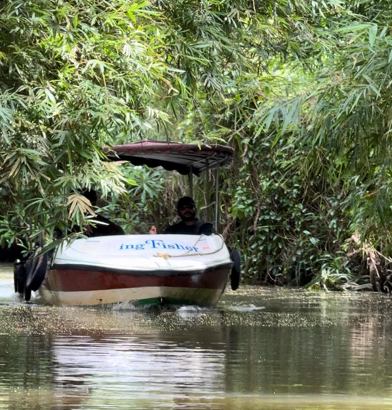 Narrow mangrove channels at the start of the route — shaded, slow, full of kingfishers