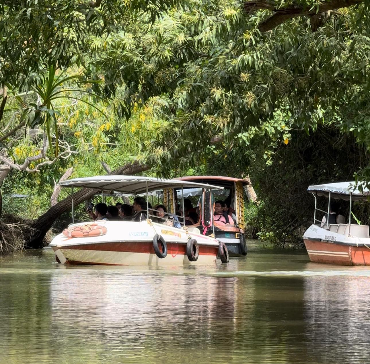 Poovar Island — the narrow sandbar where the lagoon, the river and the Arabian Sea all meet