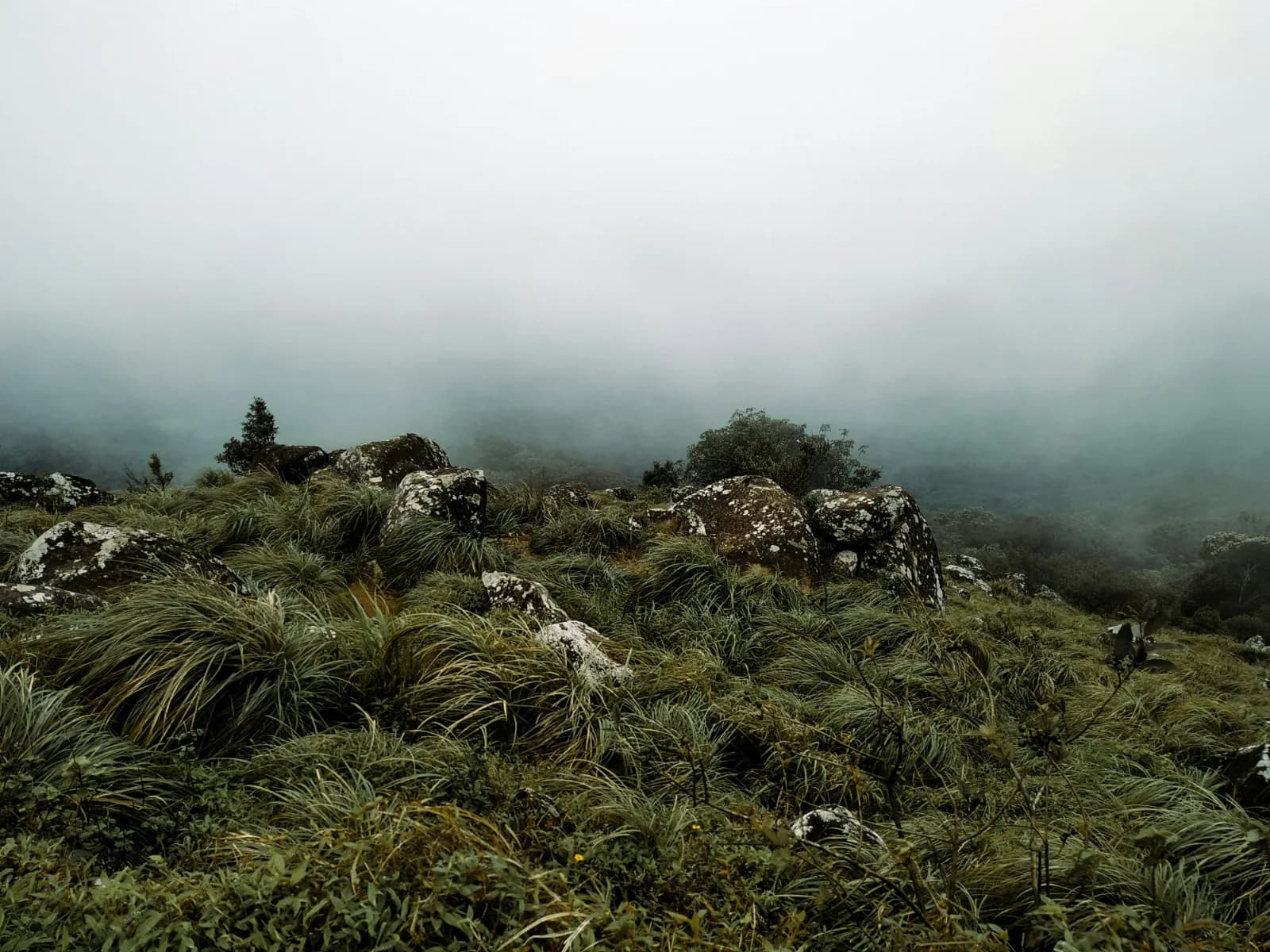 Ponmudi hill station landscape with winding roads, green hills, and misty mountain scenery in Trivandrum