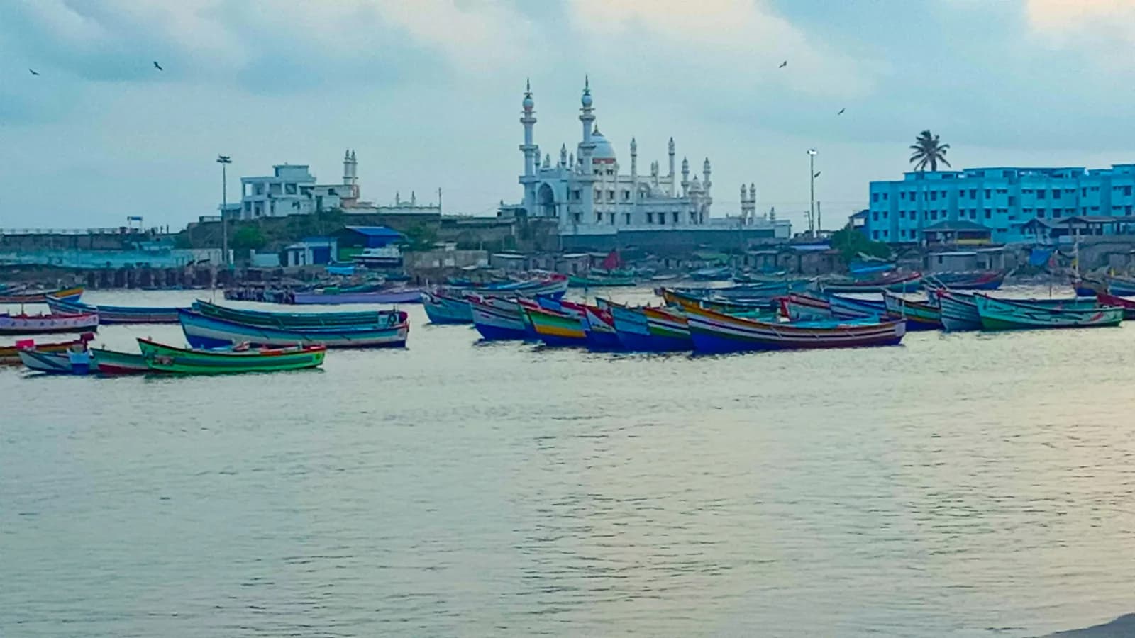 Vizhinjam Fishing Harbour with fishing boats, coastal activity, and harbour views near Trivandrum