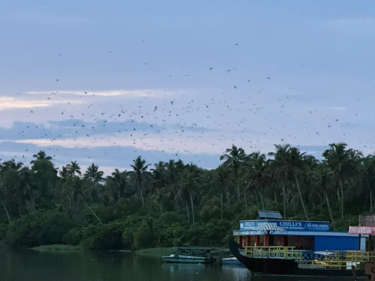 how to reach poovar from trivadrum, chennai, kovalam, banglore