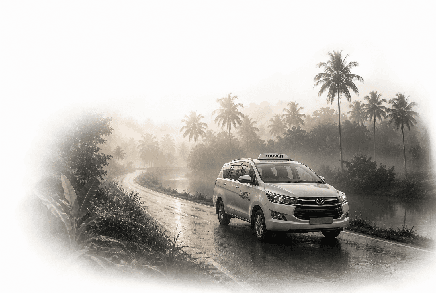 White tourist taxi on a misty palm-lined Kerala road.